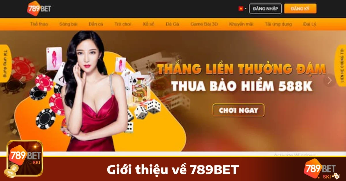 789Bet 28 Tổng Quan Về Thương Hiệu 789bet