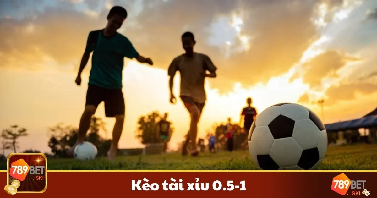 Kèo Tài Xỉu 0.5-1 Là Gì? Hướng Dẫn Chơi & Đặt Cược 2 Cách Đọc Kèo Tài Xỉu 0.5-1 & Cách Tính Tiền Thắng Thua