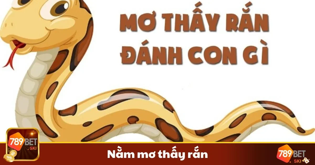 Nằm Mơ Thấy Rắn Đánh Số Gì? Giải Mã Giấc Mơ Cùng 789BET 2 Mơ thấy rắn đánh con gì?